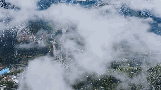3.gif