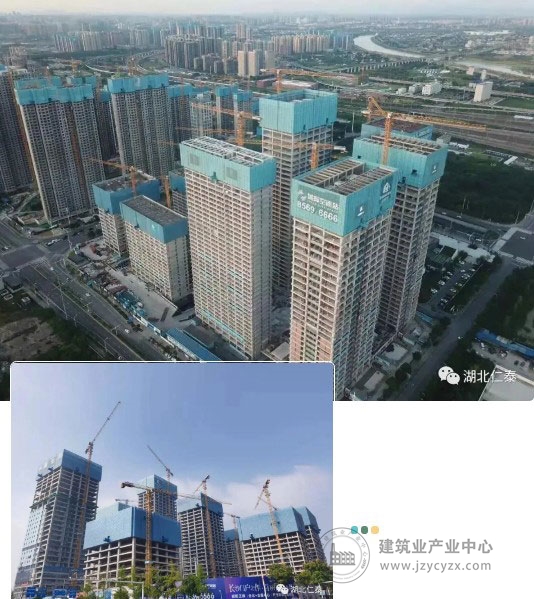 1111.jpg