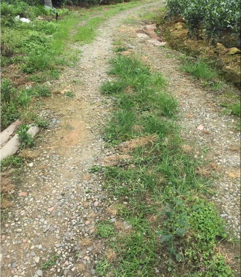 2.gif