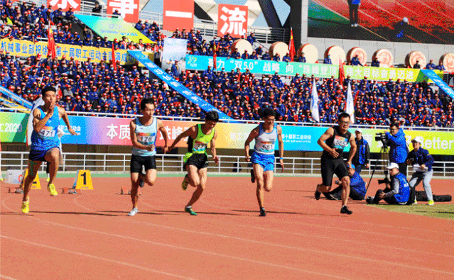 5.gif