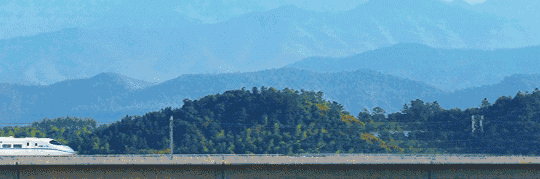 5.gif