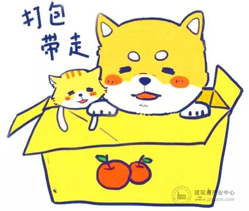 02.jpg