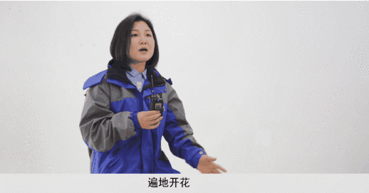 12.gif