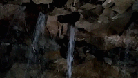 16.gif