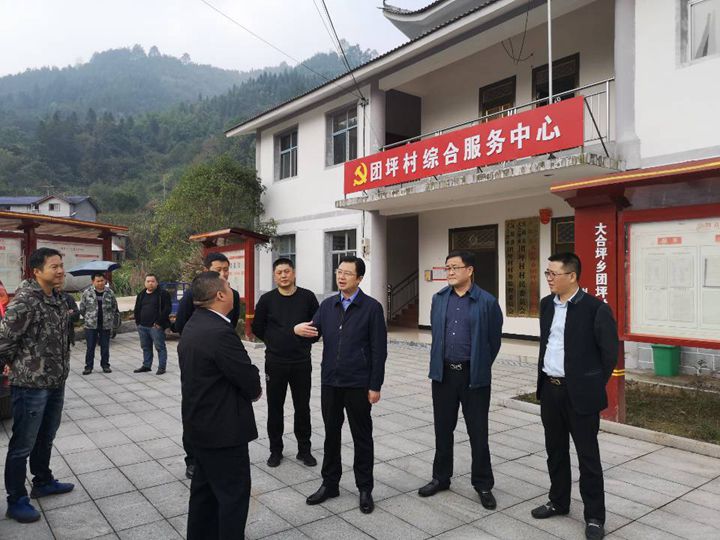集团党委书记、董事长蔡典维到团坪村开展扶贫调研和慰问工作