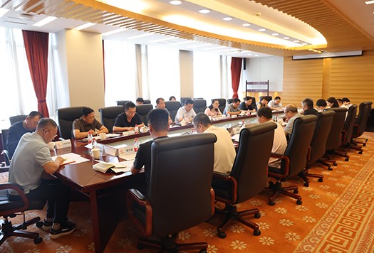 集团公司召开大监督工作半年联席会