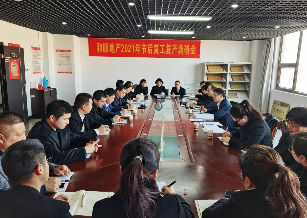 调研指导促开局——安徽水利和顺地产按下复工“快进键”