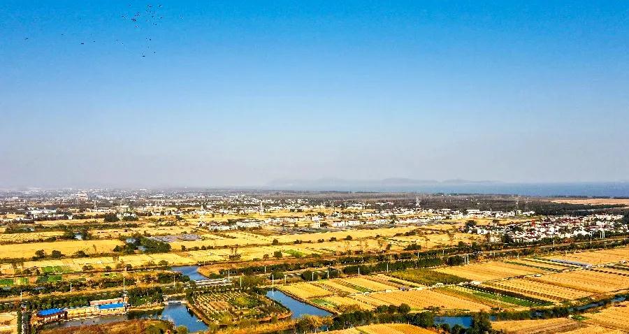 喜讯｜干好现场赢市场，7.5亿元中标宜兴农村污水治理四期项目