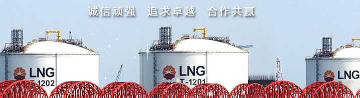 专家逆行助纳沃伊达标达产 寰球公司护航“一带一路”项目