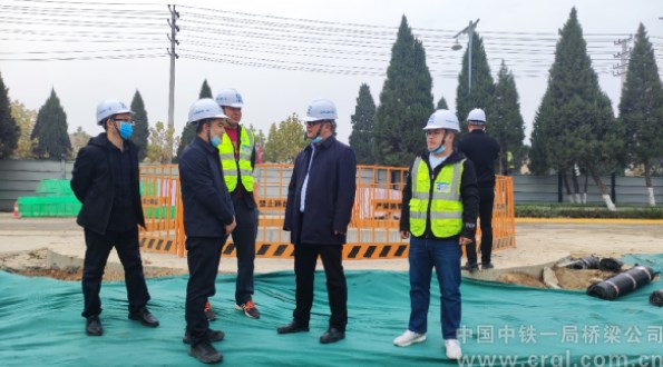 秦定松到礼泉项目检查指导工作