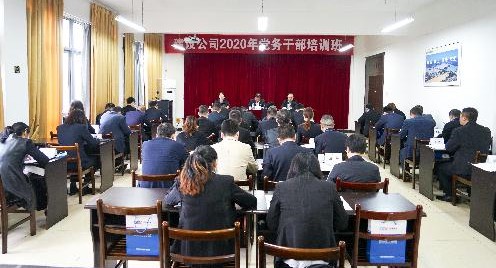 公司2020年党务干部培训班在宜开班