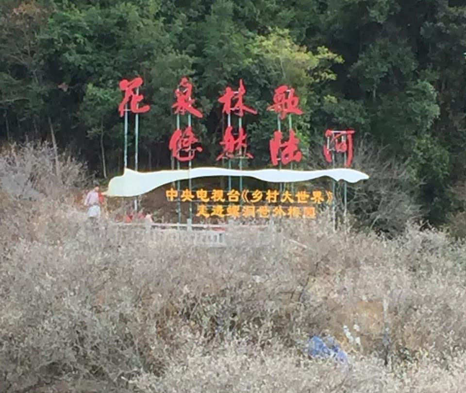 花泉林歌，悠然陆河—广建集团全体员工到陆河观赏梅花