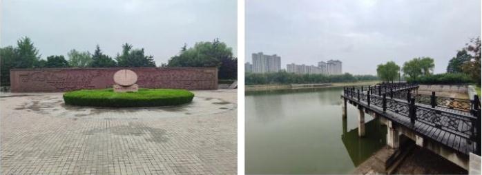 新兴建设曲阜城市绿化整治项目复工达产先进经验被当地电视台宣传报道