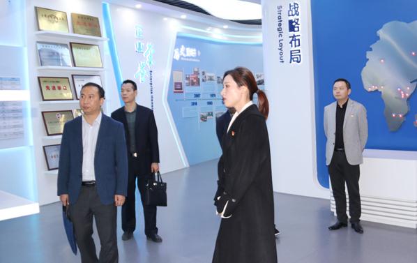 省非公党委调研督导组莅临公司检查督导“三化六有”党组织建设情况