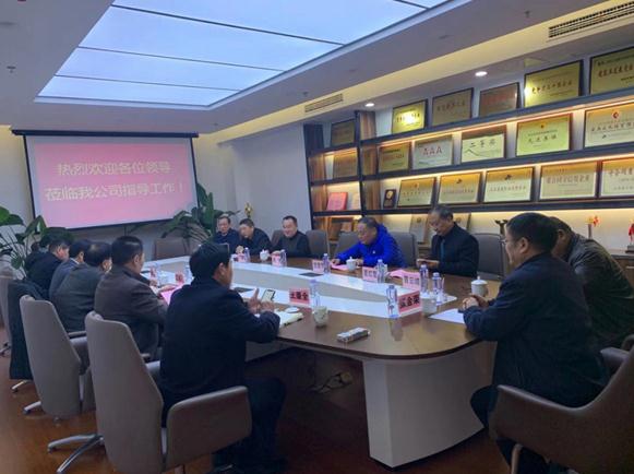 淮南市寿县人大常委会副主任王延友一行莅临公司考察