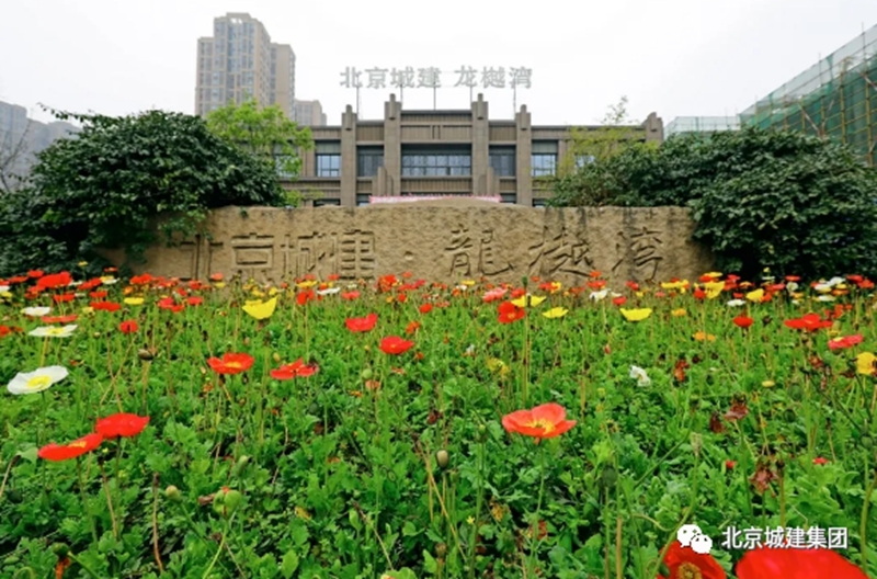 集团领导到城建发展成都公司调研
