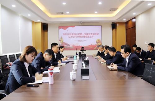 二冶甘肃分公司党建工作检查组到甘肃公司检查指导工作