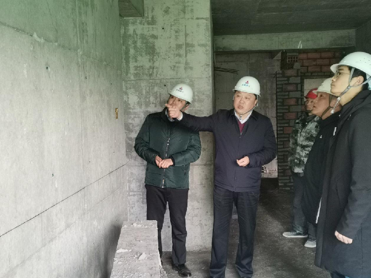 安徽三建公司党委副书记、总经理何洪春调研蜀山区动力三村项目
