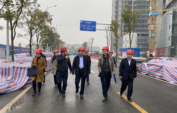 省国资委党委委员、副主任杨平带队督查湖南创意设计总部大厦项目安全生产工作