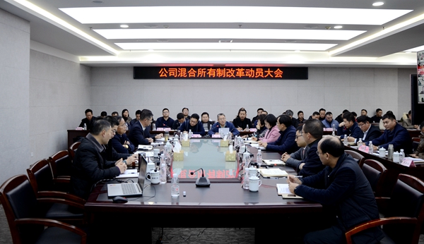 公司召开混合所有制改革动员大会