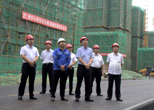 徐永锋到成都董家埂乡社区工程（一期）项目检查指导工作