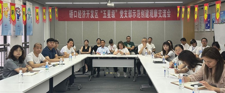 湖北水利电公司机关党支部参加硚口经济开发区新时代“五星级”党支部示范创建现场观摩会