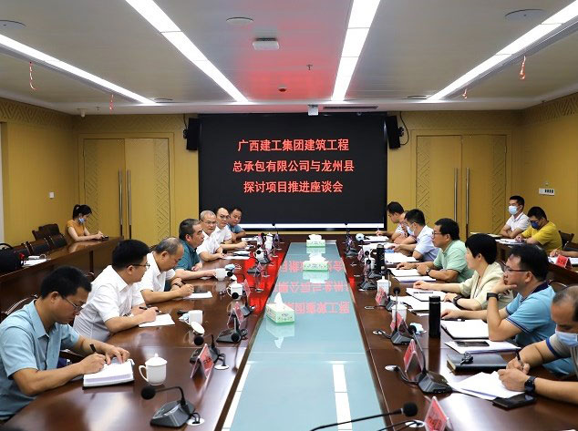 陈家坚与龙州县县长秦义敏举行工作会谈