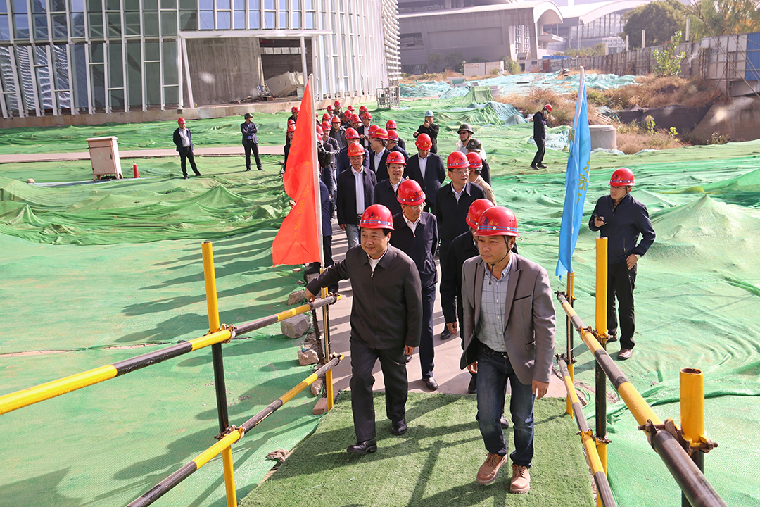 谢正义书记率市四套班子视察新大剧院项目