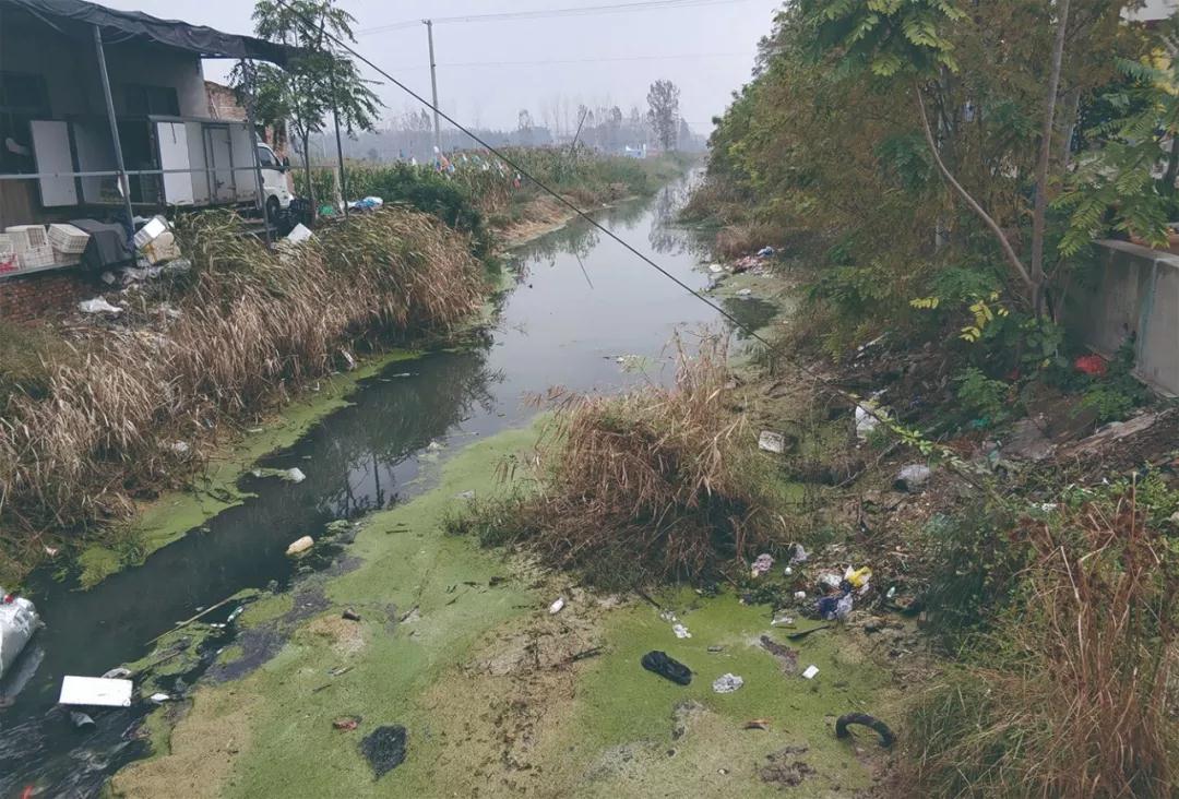 只争朝夕，他们只为守护家园净土