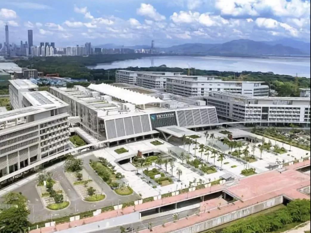 中建二局“浙”个“治愈系”工程封顶了