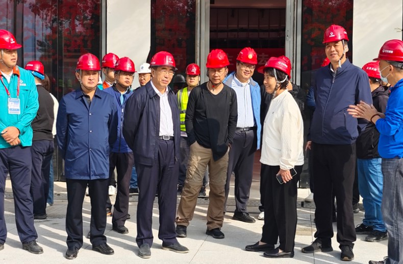 市政协领导到集团重点项目调研