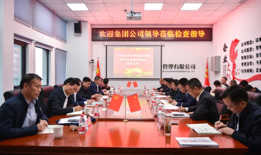 文珂到西咸新区世纪大道市政道路提升改造项目检查指导