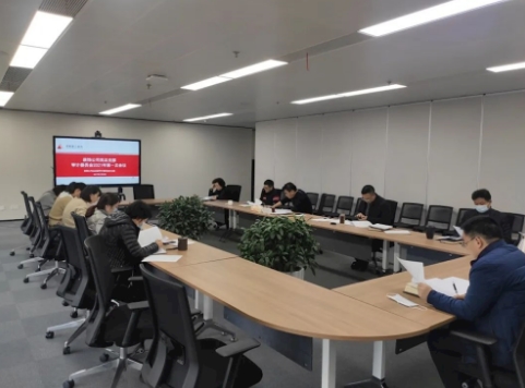 公司召开审计委员会2021年第一次会议