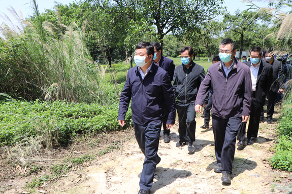 佛山市市长朱伟一行莅临中铁十一局佛山地铁项目调研指导工作