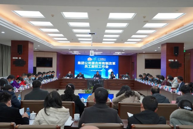 集团公司混合所有制改革员工股权工作会议召开