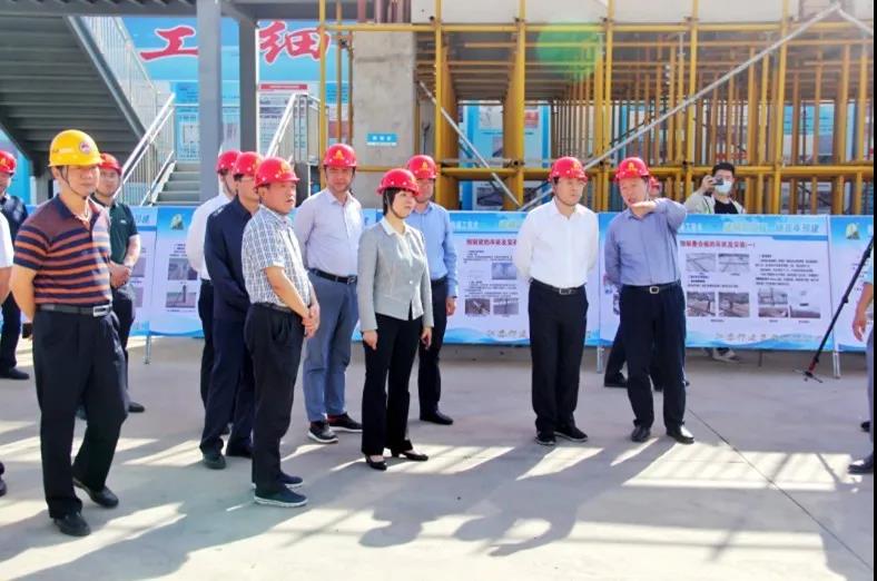 费高云副省长视察集团公司承建的翼立方项目