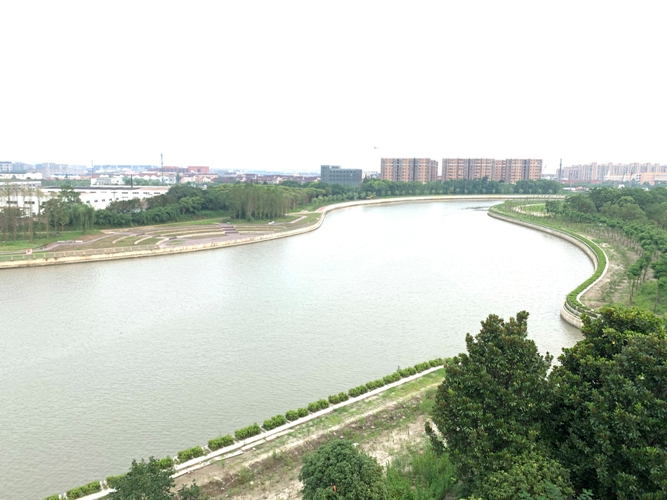 水电建设公司苏州河（真北路-蕰藻浜）堤防达标改造工程1标通过完工验收