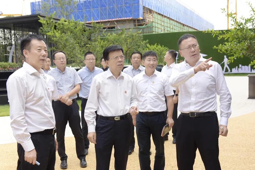 李家卫陪同张义光一行到空港新城项目调研