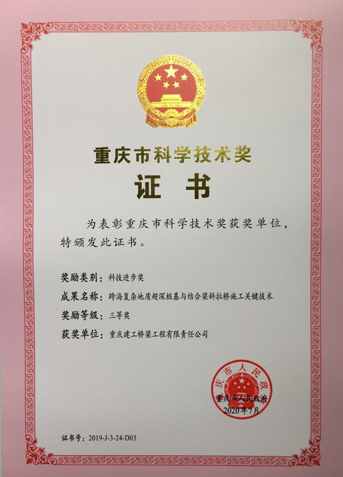  公司科技成果获重庆市科技进步三等奖