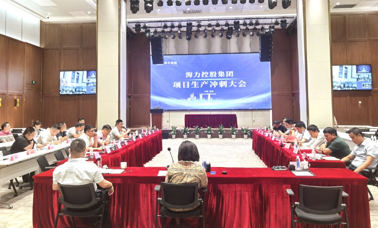 海力控股集团召开项目生产冲刺大会暨项目经理半年度总结会