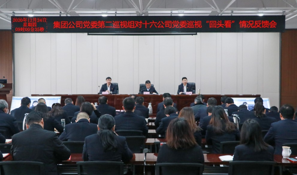 集团公司党委第二巡视组向公司党委反馈巡视情况