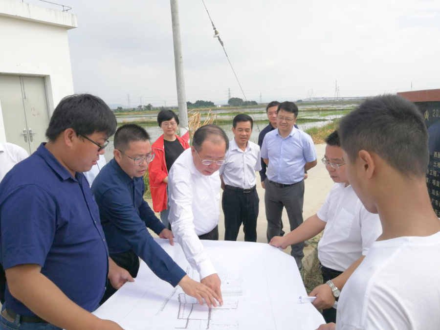 建工集团党委书记、董事长张育民到汕头市潮阳区西胪镇垦造水田项目调研督导 广东建工集团 