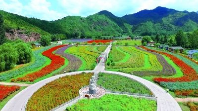 三季有景 四季覆盖 14万亩景观农田添彩京郊