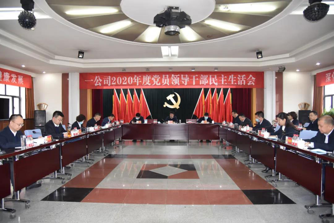 庄纪栋到联系点一公司指导党员领导干部民主生活会并在乌鲁木齐开展商务活动