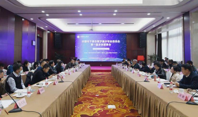 全国首个“数字展示专业委员会”成立 天地间文化成为副会长单位