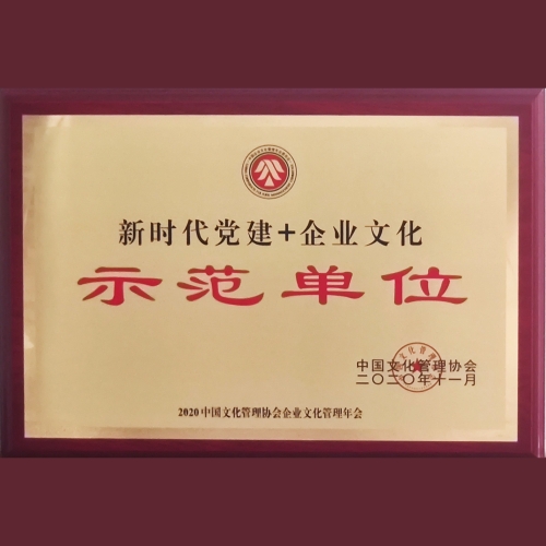 大满贯！公司党委斩获多项荣誉