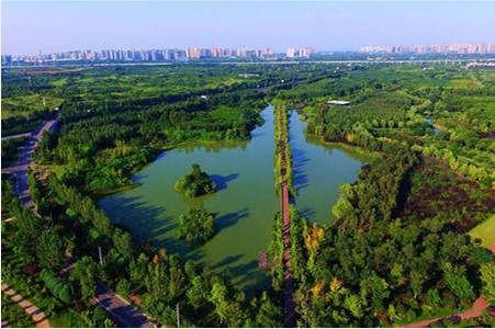【行业资讯】成都：将形成全域公园城市规划和建设标准体系