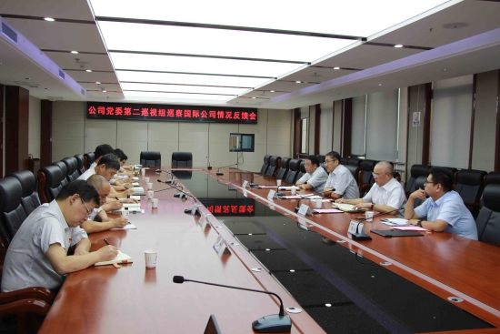 中水电三局公司党委第二巡察组召开国际公司巡察反馈会