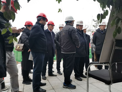 重庆城投集团总经理到半山崖步道项目调研