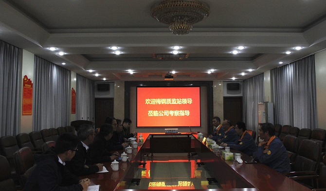 梅山钢铁质量监督站站长柴申炎一行到十七冶科技公司检查指导
